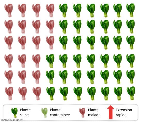 Repartition-Secteurs