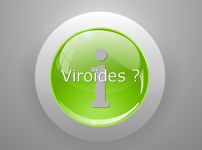 INFO-Viroides