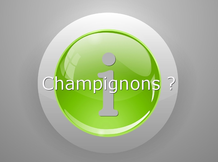 INFO-Champignons