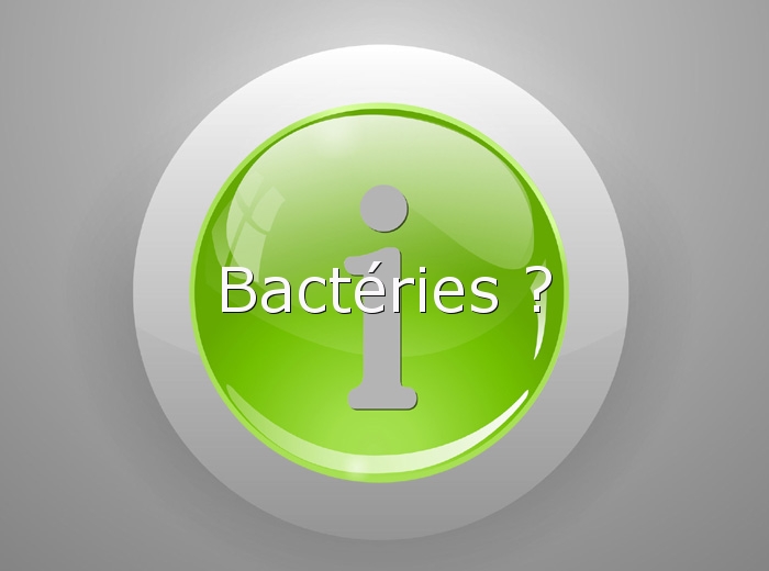 INFO-Bactéries