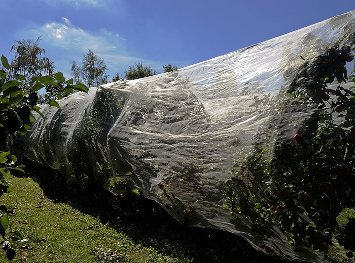 Filet Monorang Alt'Carpo sur verger de pommier dans la Drôme - © INRA Gotheron