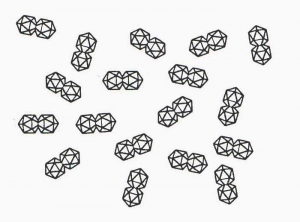 geminivirus_TLCV