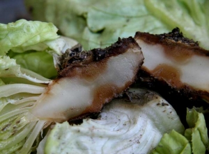<b><i>Erwinia carotovora</i> subsp. <i>carotovora</i></b> (<i>Pectobacterium carotovorum</i>, pourriture humide et noire du pivot et de la pomme, bacterial soft rot) sur salade
